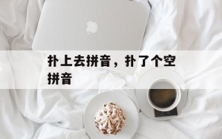 扑上去拼音，扑了个空拼音