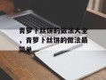 青萝卜丝饼的做法大全，青萝卜丝饼的做法最简单