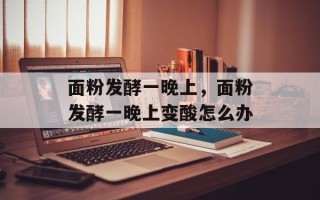 面粉发酵一晚上，面粉发酵一晚上变酸怎么办