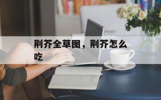 荆芥全草图，荆芥怎么吃