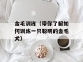 金毛训练（带你了解如何训练一只聪明的金毛犬）