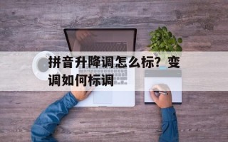 拼音升降调怎么标？变调如何标调