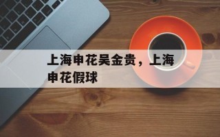 上海申花吴金贵，上海申花假球