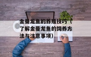 金曼龙鱼的养殖技巧（了解金曼龙鱼的饲养方法与注意事项）