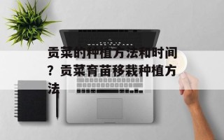 贡菜的种植方法和时间？贡菜育苗移栽种植方法