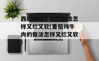 西红柿炖牛肉的做法怎样又烂又软(番茄炖牛肉的做法怎样又烂又软)