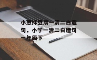 小葱拌豆腐一清二白造句，小学一清二白造句一年级下
