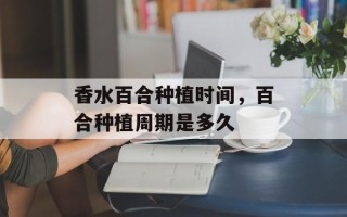 香水百合种植时间，百合种植周期是多久