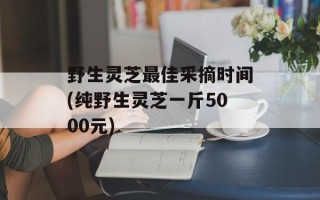 野生灵芝最佳采摘时间(纯野生灵芝一斤5000元)