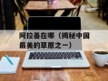 阿拉善在哪（揭秘中国最美的草原之一）