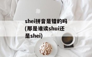 shei拼音是错的吗(那是谁读shui还是shei)
