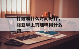 打翘嘴什么时间好打，路亚早上钓翘嘴用什么饵