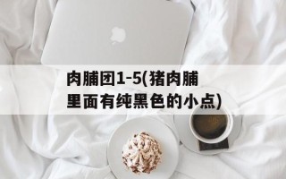 肉脯团1-5(猪肉脯里面有纯黑色的小点)