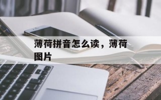薄荷拼音怎么读，薄荷图片