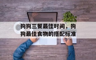 狗狗三餐最佳时间，狗狗最佳食物的搭配标准