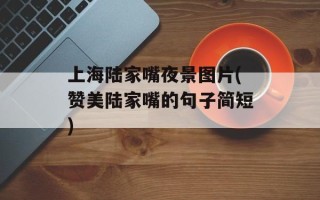 上海陆家嘴夜景图片(赞美陆家嘴的句子简短)