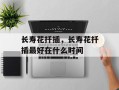 长寿花扦插，长寿花扦插最好在什么时间