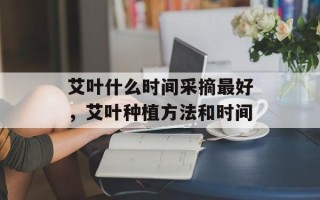 艾叶什么时间采摘最好，艾叶种植方法和时间