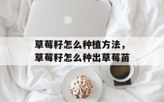 草莓籽怎么种植方法，草莓籽怎么种出草莓苗