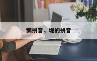 鹅拼音，堤的拼音