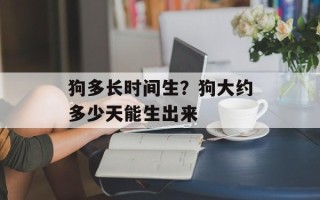 狗多长时间生？狗大约多少天能生出来