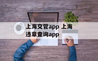 上海交管app 上海违章查询app