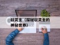 驭灵主（探秘驭灵主的神秘世界）