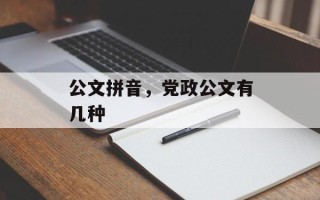 公文拼音，党政公文有几种