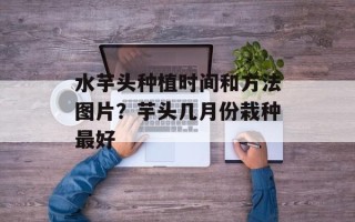 水芋头种植时间和方法图片？芋头几月份栽种最好