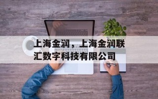 上海金润，上海金润联汇数字科技有限公司
