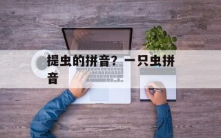 提虫的拼音？一只虫拼音