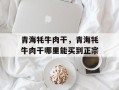 青海牦牛肉干，青海牦牛肉干哪里能买到正宗