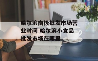 哈尔滨南极批发市场营业时间 哈尔滨小食品批发市场在哪里
