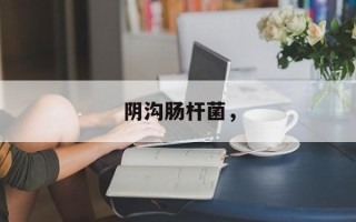 阴沟肠杆菌，