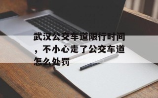 武汉公交车道限行时间，不小心走了公交车道怎么处罚