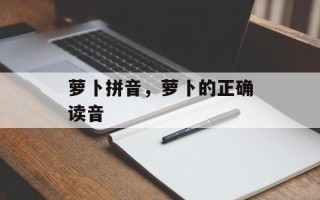 萝卜拼音，萝卜的正确读音