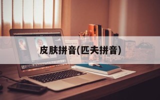 皮肤拼音(匹夫拼音)