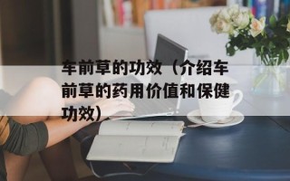 车前草的功效（介绍车前草的药用价值和保健功效）