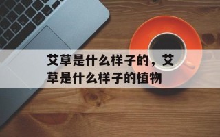 艾草是什么样子的，艾草是什么样子的植物