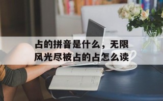 占的拼音是什么，无限风光尽被占的占怎么读