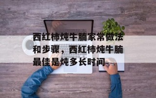 西红柿炖牛腩家常做法和步骤，西红柿炖牛腩最佳是炖多长时间