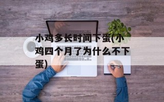 小鸡多长时间下蛋(小鸡四个月了为什么不下蛋)
