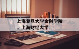 上海复旦大学金融学院，上海财经大学