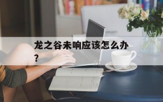 龙之谷未响应该怎么办？