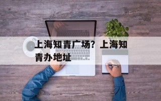 上海知青广场？上海知青办地址