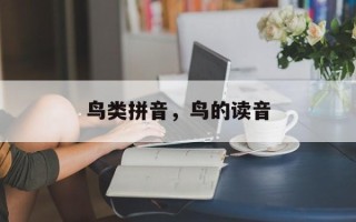 鸟类拼音，鸟的读音