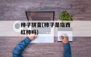 柿子拼音(柿子是指西红柿吗)