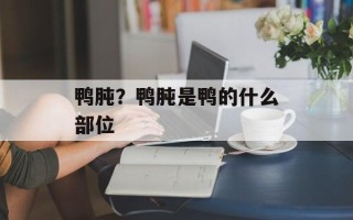 鸭肫？鸭肫是鸭的什么部位