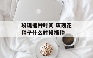 玫瑰播种时间 玫瑰花种子什么时候播种