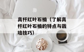 高杆红叶石楠（了解高杆红叶石楠的特点与栽培技巧）